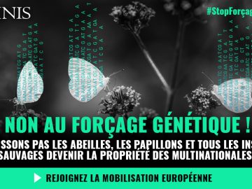 Non au forçage génétique –