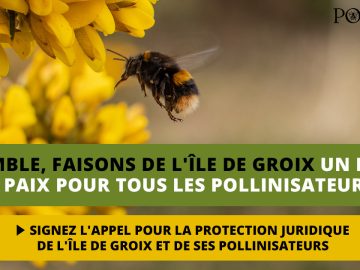 Protection juridique de l’île de Groix