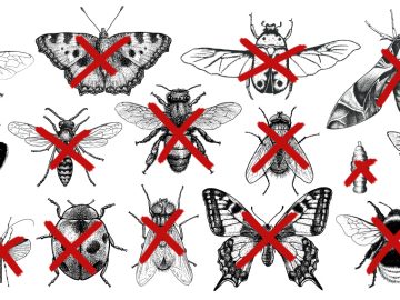 Tests pesticides Europe – Ne laissez pas les multinationales de l’agrochimie sacrifier les abeilles, l’environnement et votre sécurité alimentaire !